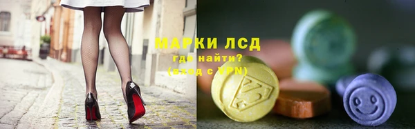 гашик Дмитров