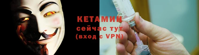 гашик Дмитров