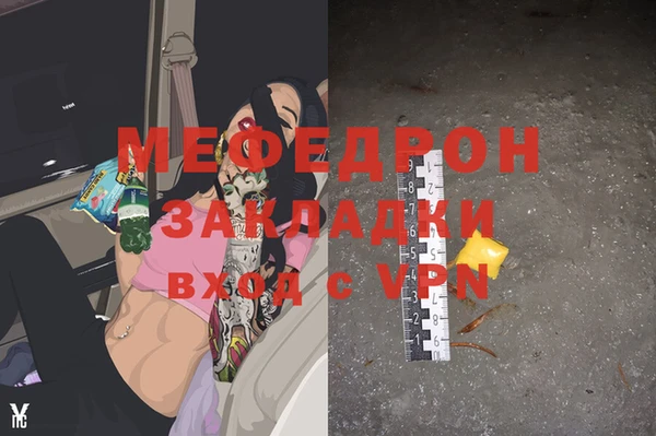 гашик Дмитров