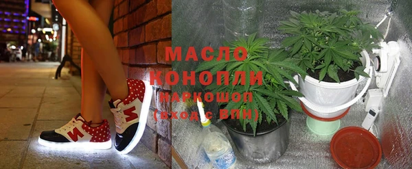 гашик Дмитров