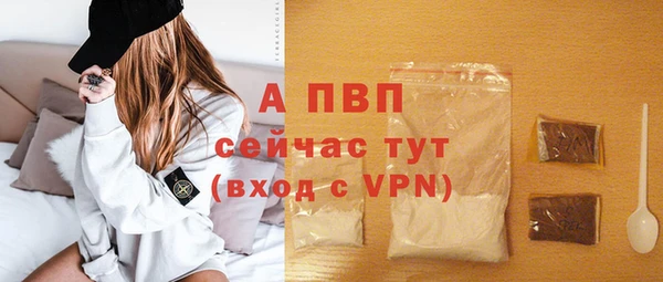 гашик Дмитров